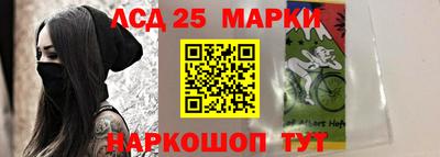 spice Новозыбков