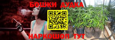 spice Новозыбков