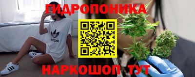 mdpv Новодвинск