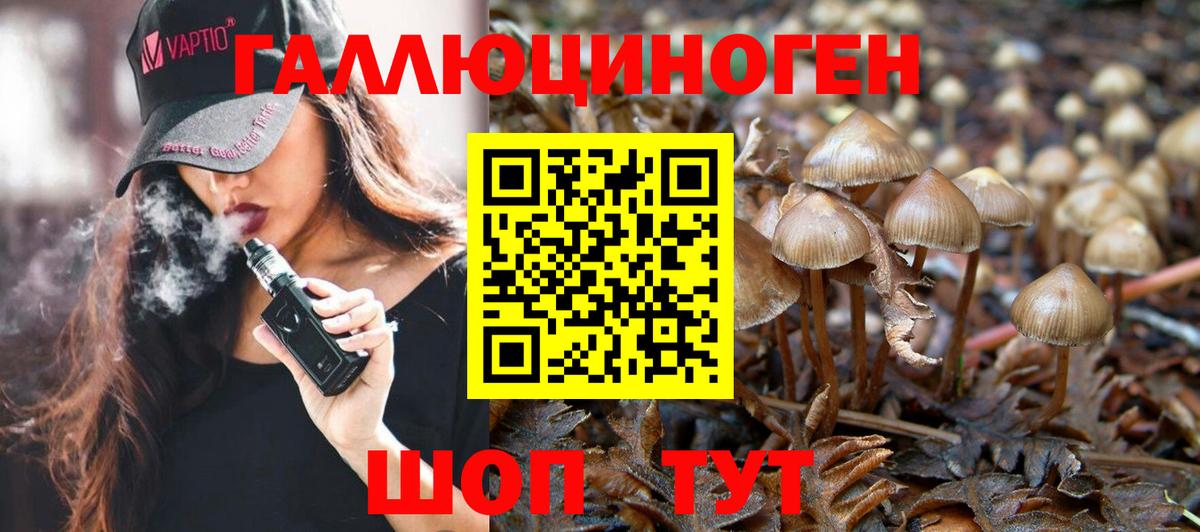 Псилоцибиновые грибы Magic Shrooms  Галлюциногенные грибы MAGIC MUSHROOMS  Вход с VPN  купить наркотик  Сердобск 