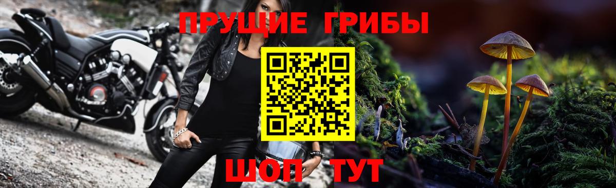Псилоцибиновые грибы мухоморы Сердобск
